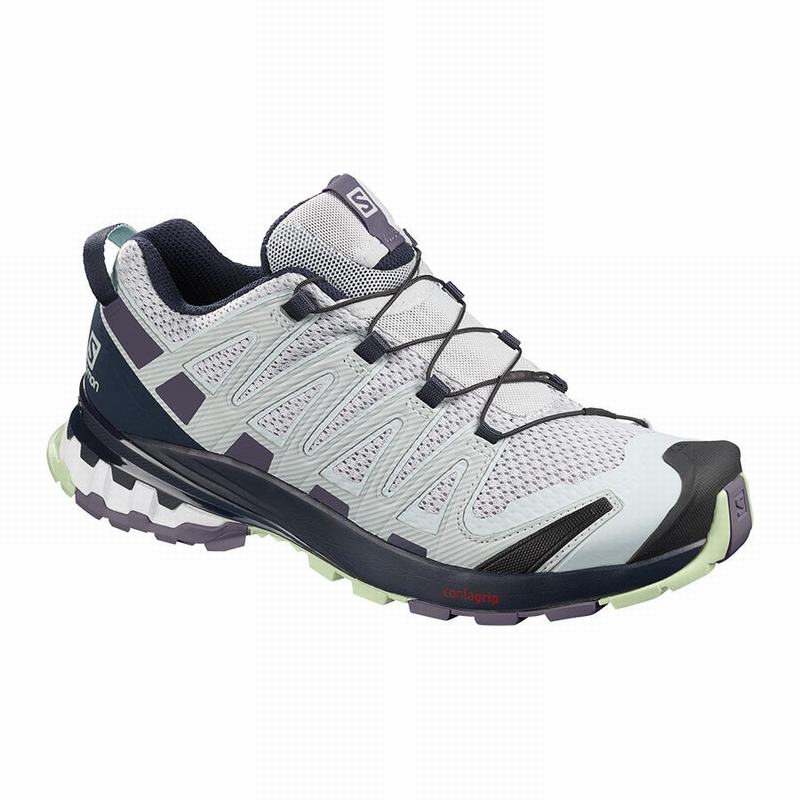 Zapatillas Trail Running Salomon Mujer Azules / Moradas - Salomon Argentina XA PRO 3D V8 ,849351-HEJ